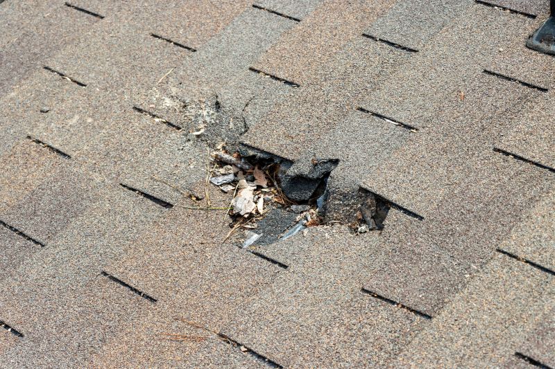 Damaged Roof Replacement